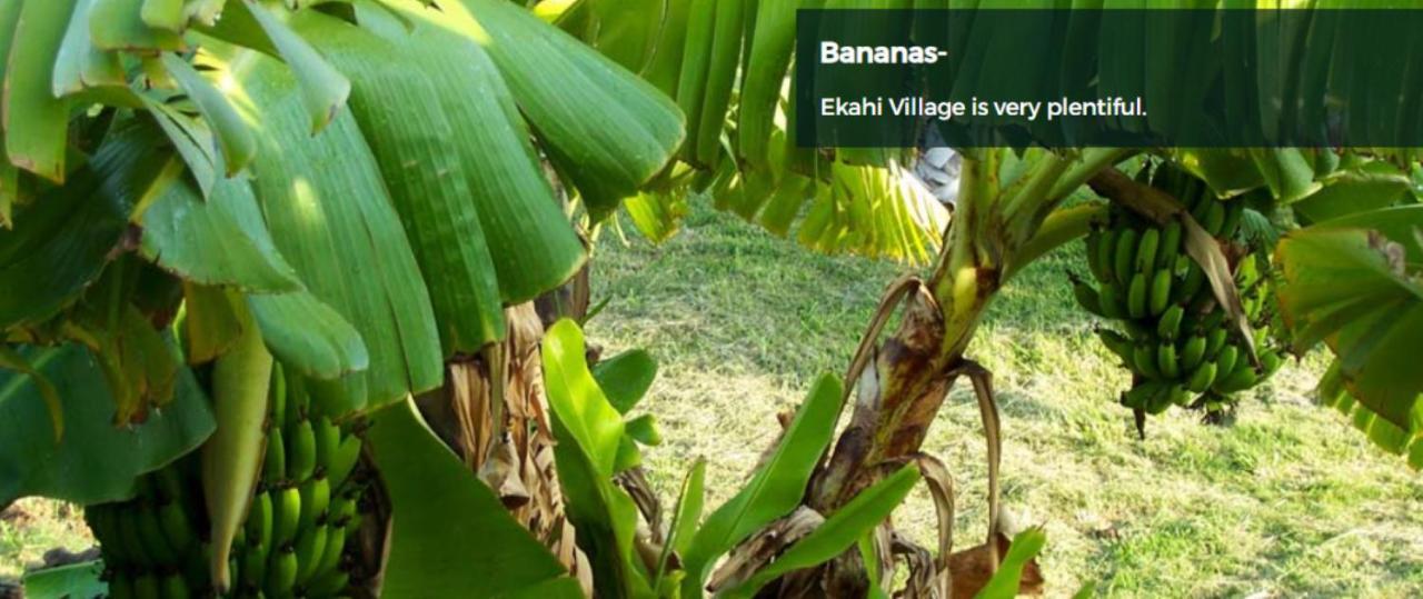 9B Ekahi Village-Studio Bath, Garden View - 1 Minute Stroll To Beach! 维雷亚 外观 照片